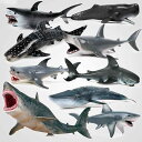 キッズ おもちゃ リアル 海洋生物 海底動物 フィギュア ホホジロザメ メガロドン シャチ シロナガスクジラ イルカ プラスチック製 精巧な造り 顎可動 知育 学習 コレクション 模型