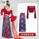 ダンス衣装 レディース 女性用 漢服 古代衣装 クラシックダンス 敦煌飛天 舞台衣装 発表会 エスニック 中国風 華やか 軽やか 再生繊維 プリントテンセル 春...