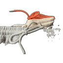 ショートパンツ レディース 春夏 韓国 ハイウエスト 透け防止 インナー付き 外出用 普段使い スポーツ ルームウェア カジュアル ポリエステル 吸汗速乾 ブラ...