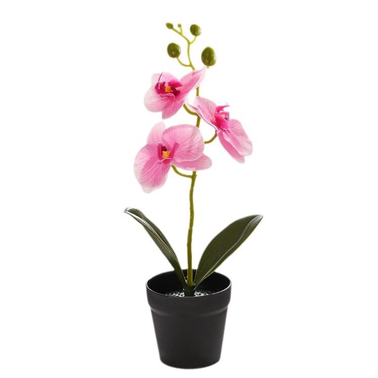 造花 フェイクグリーン コチョウラン リアルな触り心地 フラワー 精巧な鉢植え 室内用 インテリア 観葉植物 リビング 玄関 デスク飾り オブジェ