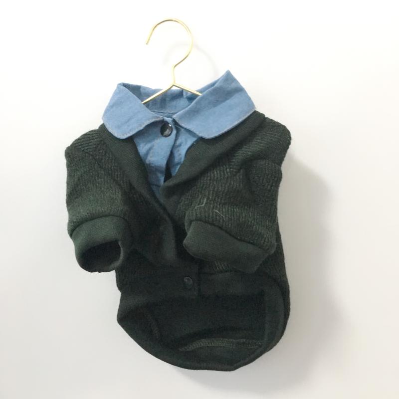 ハンガー ペット用 ミニ 北欧風 犬猫 服 干し用 鉄製 金 銀 モダン シンプル 小型 軽量 衣類 パンツ ネクタイ 対応