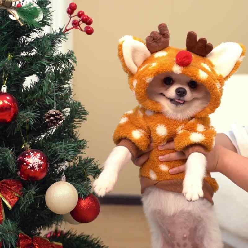 犬 服 クリスマス トナカイ 変身 コスチューム フリース あったか 防寒 秋冬 小中型犬 フレンチブルド..