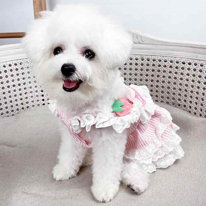 プリンセスドレス かわいい ペット ロリータ風 メンズ レディース ユニセックス 犬 猫 テディ犬 コーギ..