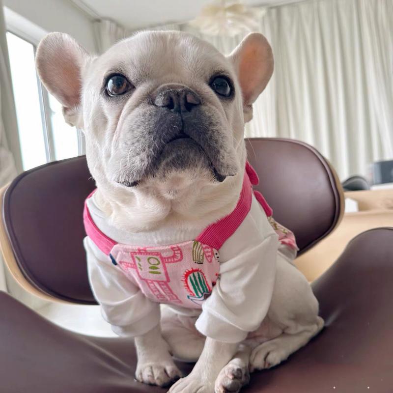 犬服 男の子 女の子 夏用 かわいい キュート サスペンダースカート 小犬 ウサギ プリント 柄 フレンチ..