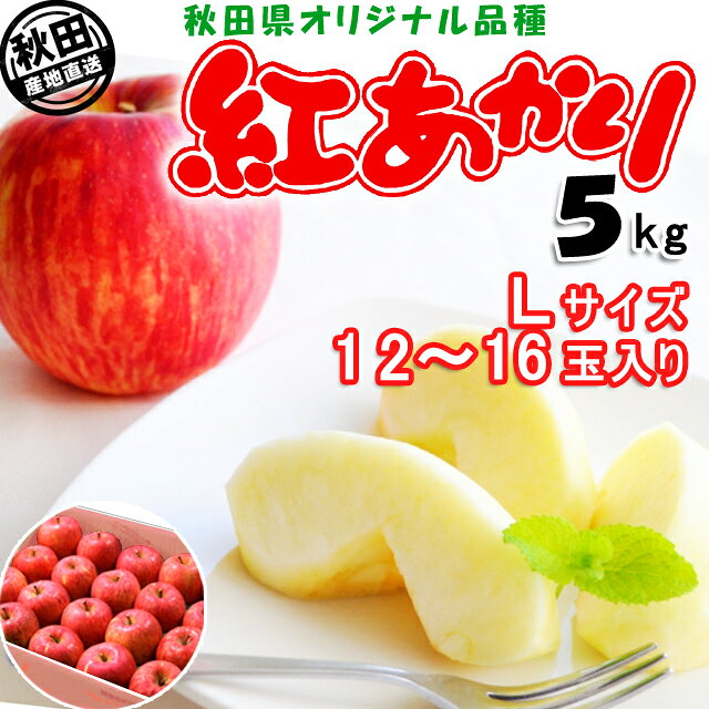 秋田産 りんご 紅あかり 5kg Lサイズ 12-16玉出荷期間:11月下旬-12月中旬 お届け日指 ...