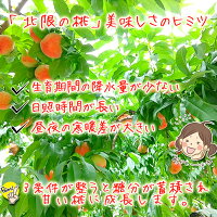 北限の桃