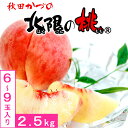 北限の桃2.5kg 6-9玉入 秋田県産 JAかづの 糖度光センサー選果 出荷期間:8月下旬-9月下旬まで お届け日指定不可
