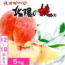 北限の桃5kg 12-18玉入 秋田県産 JAかづの 糖度光センサー選果 出荷期間:8月下旬-9月下旬まで お届け日指定不可