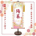 桃の節句 名前旗 名入れ掛け軸　桜にうさぎ《小》スタンド付きYTG-005S