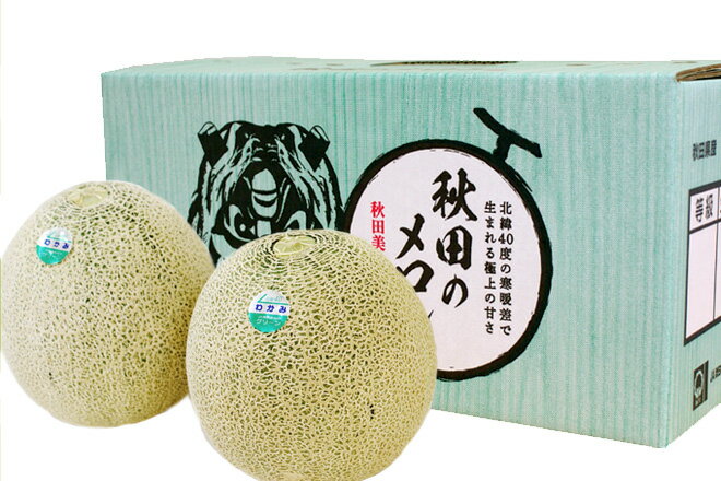 秋田美人メロン2玉(3L)化粧箱入り,マスクメロン