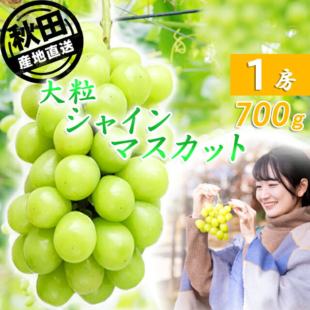 　品名　　シャインマスカット　 　産地　　秋田県：仙北市・大仙市・横手市・美郷町　 　内容量　　700g（1房） 贈答用化粧箱　 　発送方法　　クール便※通常送料+別途クール代330円（全国一律）　 　発送時期　　9月中旬～10月下旬頃　 果物につきましては、収穫量により日々の入荷数に変動がございます。ご注文順に発送いたしますが、発送までお時間をいただく場合がございますのでご理解ご了承のうえご注文をお願いいたします。 ※天候の影響等により予定より早めに収穫・入荷が終了する場合がございます。 その場合、発送前のお客様につきましては大変申し訳ございませんが、ご注文のキャンセルにて対応させていただきます。秋田県産 シャインマスカット 700g×1房 化粧箱入り