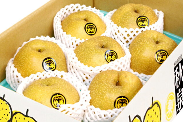秋田から全国発送！秋田県オリジナル梨「秋泉(しゅうせん)」5kg(7〜10玉入）　出荷期間10月上旬～中旬(お届け日指定不可)　JA秋田なまはげ(男鹿・天王産)のサムネイル