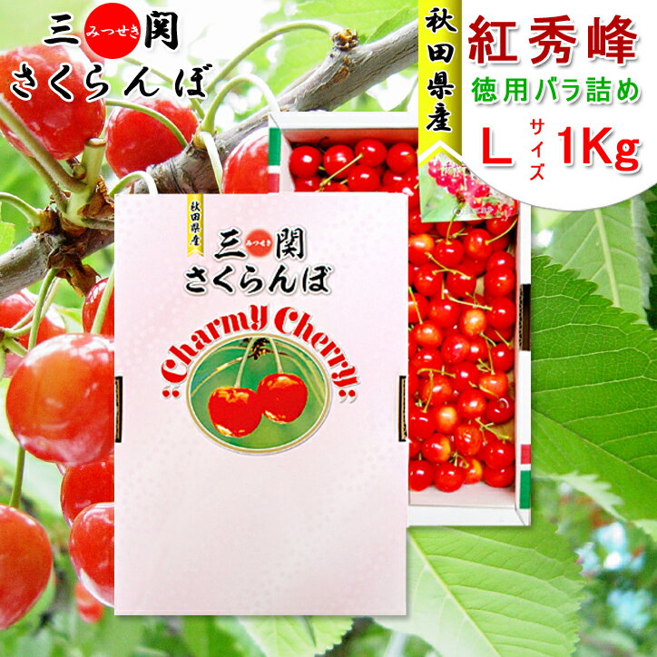 秋田県三関産 さくらんぼ 紅秀峰 1kg Lバラ詰め【お届け日指定不可・7月上旬から発送予定】JAこまちのサムネイル