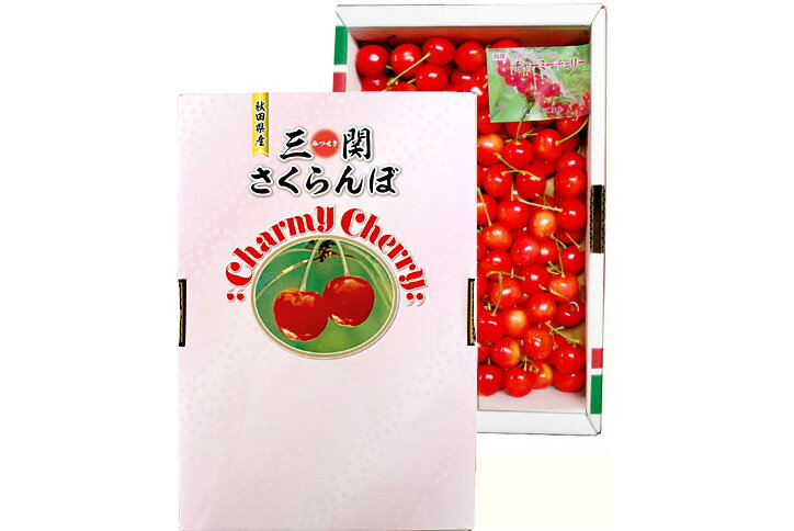 秋田県三関産 さくらんぼ 佐藤錦 1kg Mサイズ バラ詰め【お届け日指定不可・6月下旬から発送】JAこまち