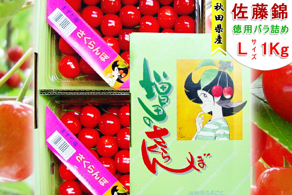 秋田県増田産 さくらんぼ 佐藤錦 1kg Lバラ詰め【お届け日指定不可・6月下旬から発送予定】JA秋田ふるさと