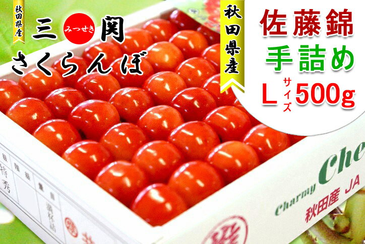 秋田県三関産 さくらんぼ 佐藤錦 500g L手詰め【お届け