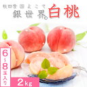 雪国よこて銀世界 白桃2kg 6-8玉入 秋田県横手産 JA 出荷期間:8月中旬~9月中旬まで お届け日指定不可