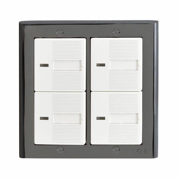 【ゴーリキアイランド】スイッチプレート PC 2 ANNI 790242【代引き不可】