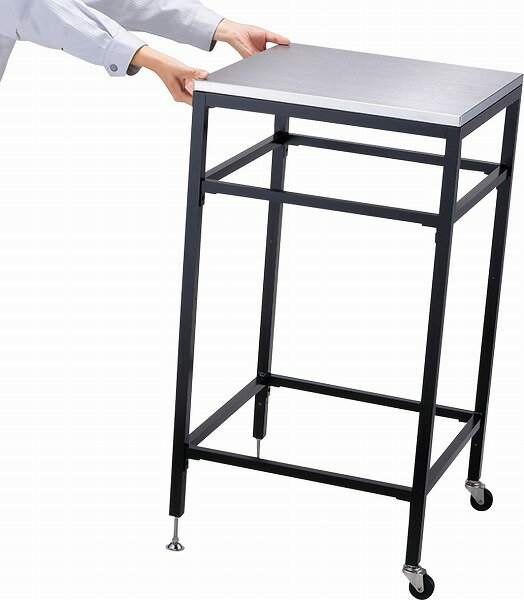 �ڥ�˥���ۡ����襷�󥯡ۥ����ǥ󥷥� �ե쥤�� ���㥹����(2����) 604606110