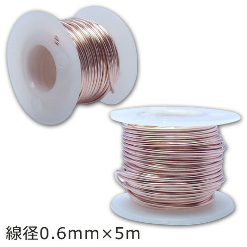 ƥƥå磻䡼 #22(0.6mm5m)ڥɡ