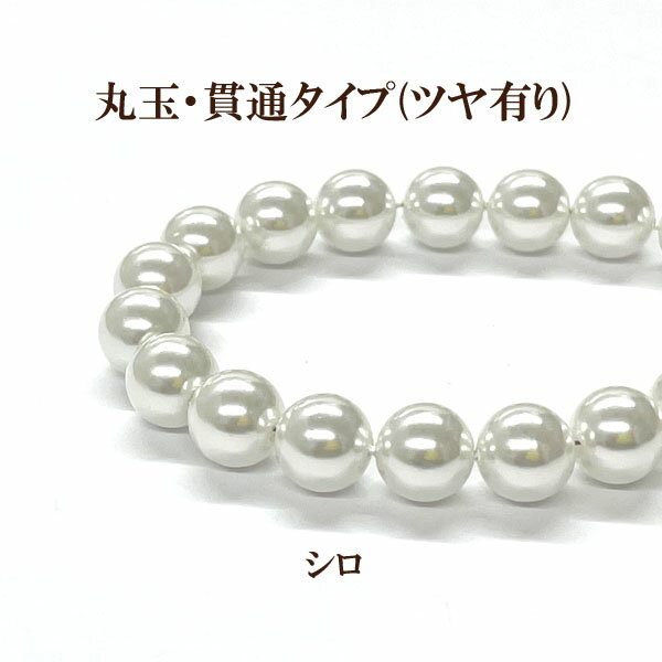 プラパール 6mm【シロ】約63個入のサムネイル