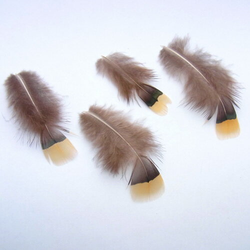 羽根/フェザー 4枚入 【黄】