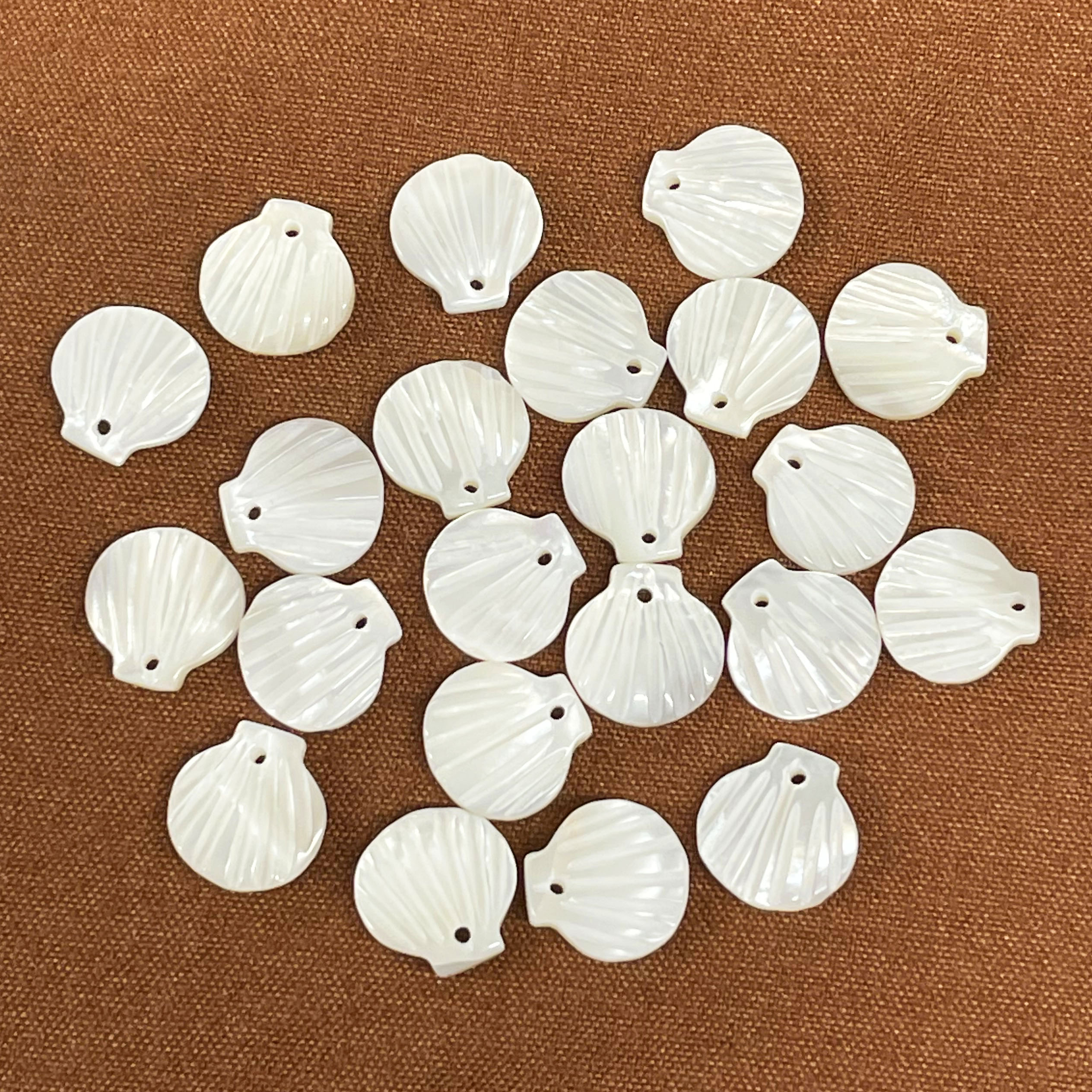 シェルパーツ ホタテ 約10mm 1個入 ホワイト