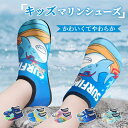 【クーポン利用で,1182円】キッズマリンシューズ アクアシューズ ウォーターソックス ウォーターシューズ スニーカー 子供用 キッズ メンズ レディース 軽量 速乾 折りたたみ 水陸両用 川遊び 海 プール 男女兼用