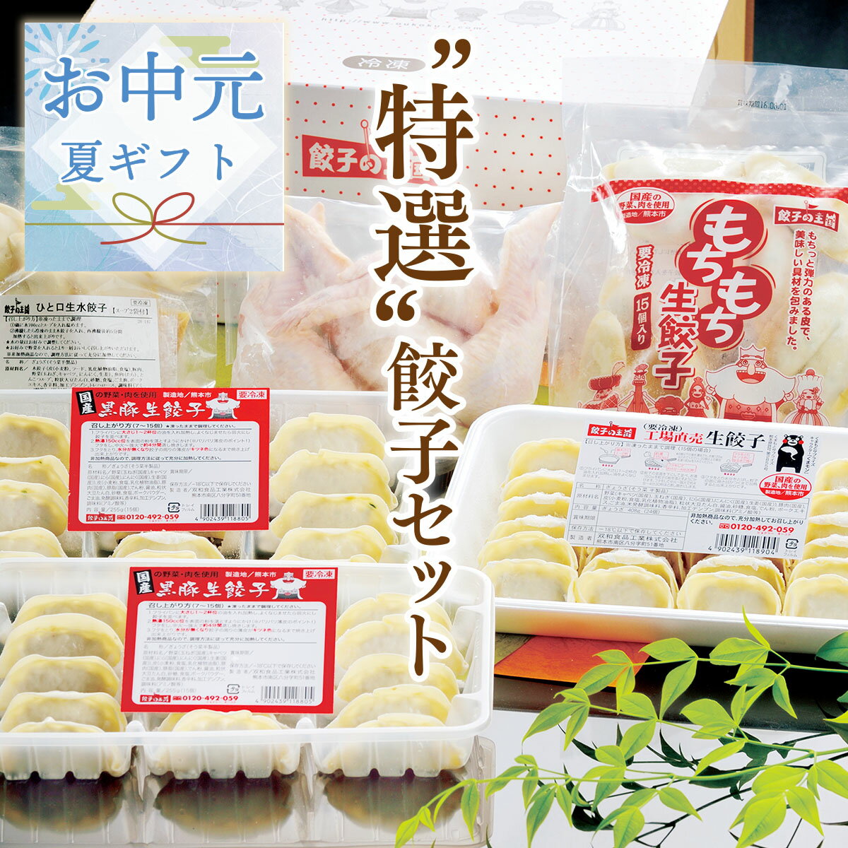 [餃子の王国]【送料無料】★お中元★"特選"餃子セット餃子の王国の自慢の餃子をギュッと詰め合わせました。贈答用にもオススメです。のサムネイル