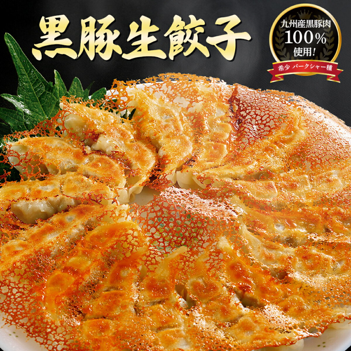 【黒豚生餃子】当店人気NO.1餃子★国産野菜100%【希少 黒豚 バークシャー種100%使用】 餃子 セット 冷凍餃子 冷凍 餃子 ギフト 引越し祝い 開店祝い...