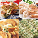 【送料込】餃子パーティーセット 