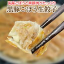 黒豚ごぼう生餃子 15個 国産ごぼうと黒豚肉をたっぷり使用しました！ [餃子の王国]