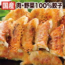 餃子の王国「工場直売生餃子72個」セット（24個×3パック） 餃子 セット 【送料込】国産野菜に、九州産豚肉100％使用し熊本の工場で製造（パリパリ焼ける餃子）★国産野菜100％！ 冷凍餃子 （ぎょうざ、ギョウザ） 引越し祝い 新築祝い 開店祝い　内祝い 出産祝い