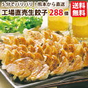  お徳用 餃子 セット 業務用 工場直売生餃子 6セット（24個×12パック） 冷凍餃子 288個入り！