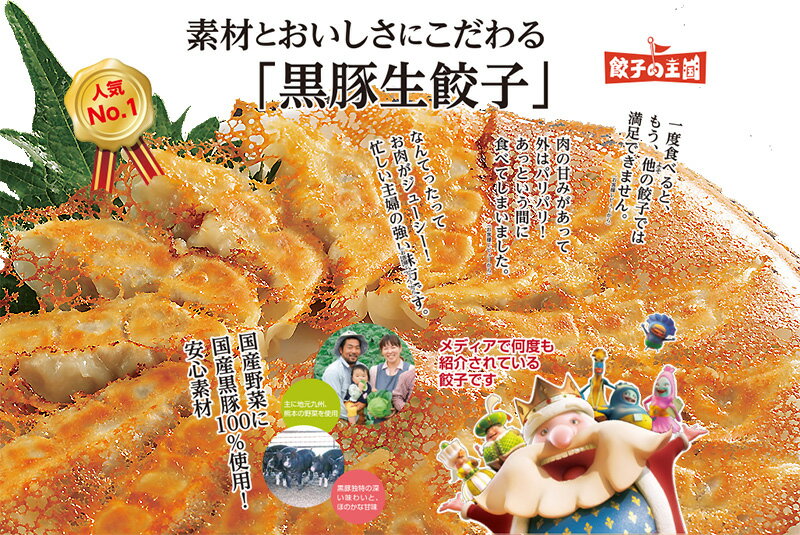 餃子の王国＿人気 餃子 3品が入ったワクワク人気ギョウザセット 国産野菜100％使用！黒豚生餃子、しそ生餃子、小籠包をお届け【2セット購入で割引クーポンあり】国産野菜100％引越し祝い　新築祝い　開店祝い　内祝い　出産祝い