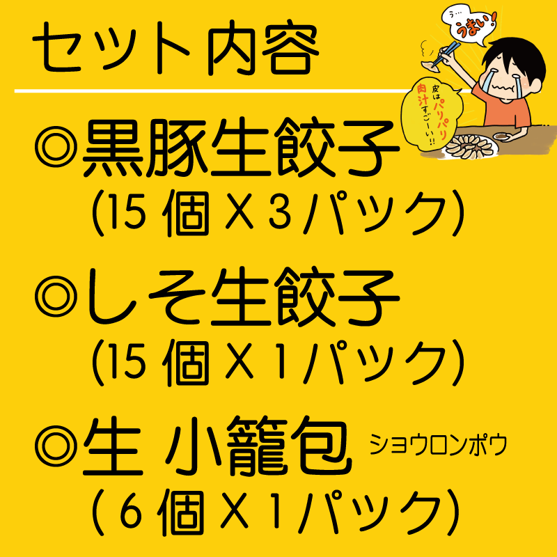 【送料込】人気 餃子3品入ったワクワク！人気ギョウザセット。国産野菜100％使用。黒豚生餃子、しそ生餃子、小籠包【2セット購入で割引クーポンあり！】引越し祝い　新築祝い　開店祝い　内祝い　出産祝い