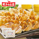 工場直売生餃子48個（24個×2パック）［餃子の王国］