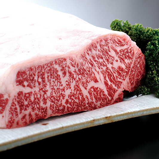 【送料無料】【牛肉 5kg ブロック】近江牛 プレミアム厳撰ブロック肉　5,000g【通販限定】【近江牛は松坂牛・神戸牛と並ぶ日本三大ブランド和牛】【ステーキ/ローストビーフ/焼肉に最適な黒毛和牛】滋賀県から安心の産地直送で新鮮な牛肉をお届けします