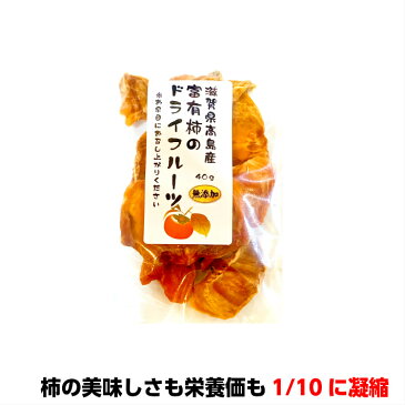 滋賀県高島市産 富有柿のドライフルーツ 40g(国産 柿　ドライフルーツ 無添加 食べきりサイズ ゆうパケット便)