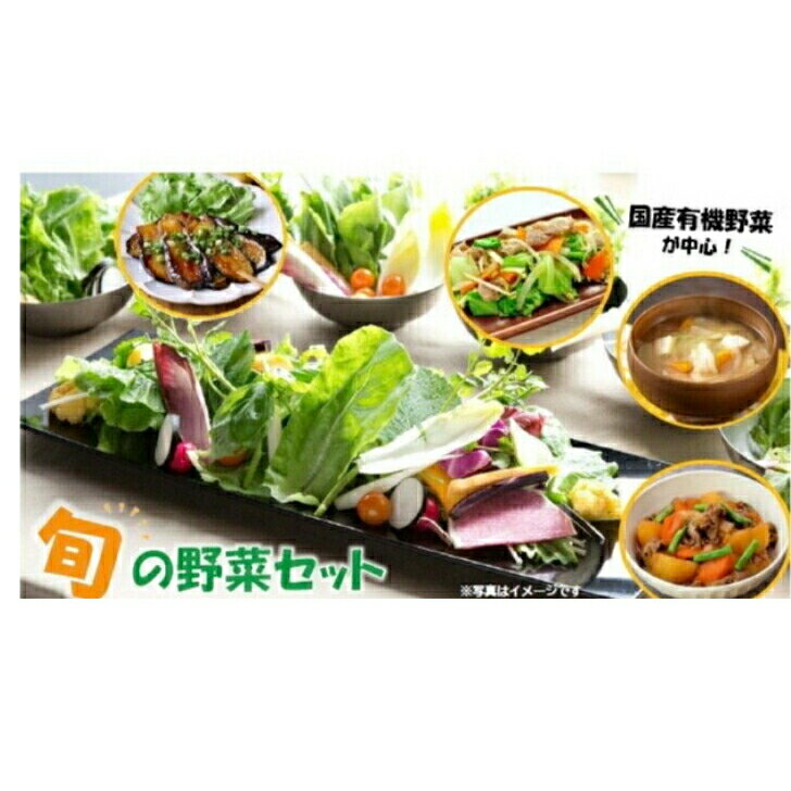 おまかせ　有機野菜　無農薬野菜　野菜セット　Mセット（8品） 3