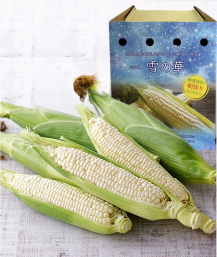 【滋賀県2025年度産 先行予約 7月上旬~7月下旬発送】 雪の華(ホワイトコーン)(白いとうもろこし) 朝採れ 生で食べれる 甘い 贈答 10本入り 送料無料 【滋賀県2025年度産 先行予約 7月上旬~7月下旬発送】 雪の華(ホワイトコーン)(白いとうもろこし) 朝採れ 生で食べれる 甘い 贈答 10本入り 送料無料