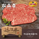 スーパープレミアムギフト 近江牛肉 赤身牛 特選サーロインステーキ(5枚入り)(桐箱入り) お取り寄せグルメ