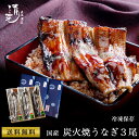 【母の日】 鰻 ギフト プレゼント 母の日ギフト うなぎ 国産鰻蒲焼き3匹 誕生日 お祝い 内祝 お返し 食べ物 グルメ 国産 うなぎ ウナギ 鰻 蒲焼き 炭焼...