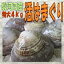 ★国産 活はまぐり特大4kg40個前後★とれたて直送!BBQにも大人気【ランキング入賞】(7/26〜9/15の発送・日時指定ともに承っておりません)お食い初め 鯛 蛤 ハマグリ 誕生日プレゼント 御歳暮 お歳暮 景品 お年賀 父の日 母の日 敬老の日 ギフト 贈り物 内祝 還暦祝
