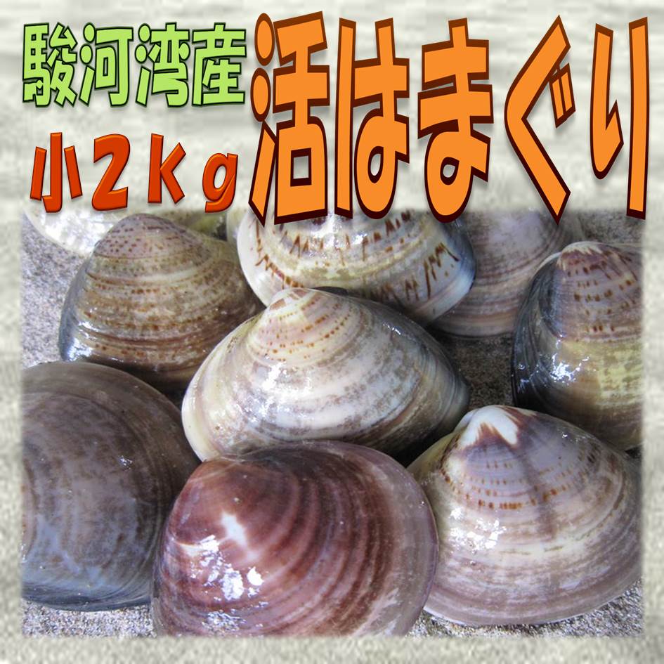 母の日 父の日 ギフト バレンタインデー 初節句★国産 活はまぐり小2kg★鮮度抜群(1/2-1/7の発送・日時指定ともに承っておりません)【ランキング上位入賞】お食い初め 鯛 蛤 ハマグリ お試し 保存食 お買得 まとめ買い お取り寄せ お取り寄せグルメ格安通販　バレンタイン　人気　ランキング