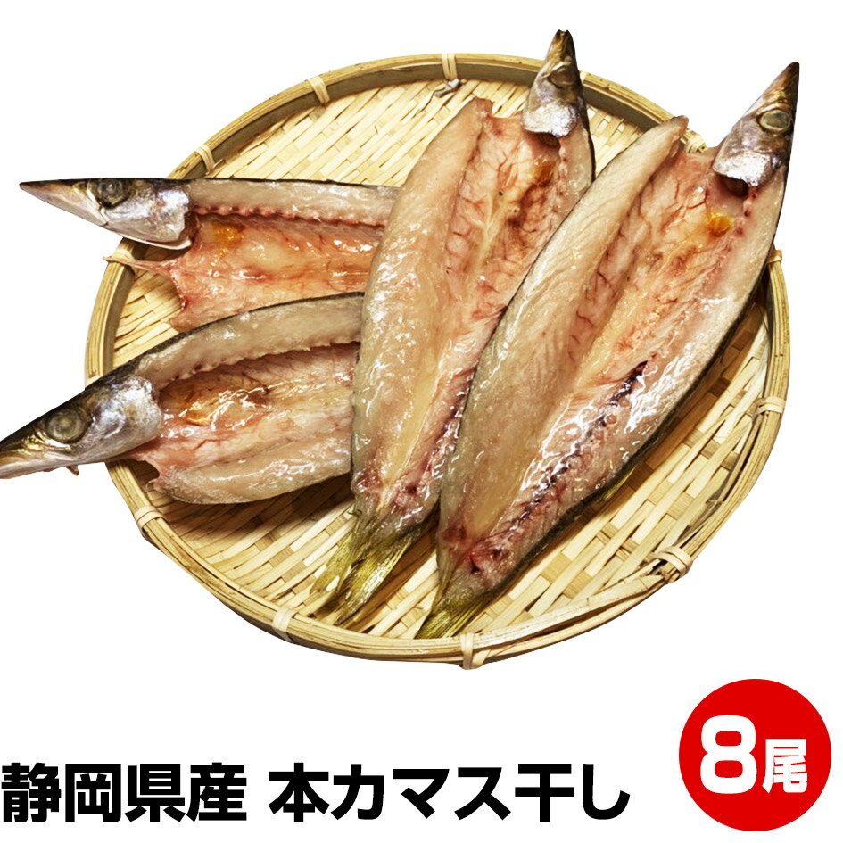 楽天駿河湾沼津Ounami物産 楽天市場店6/4～6/11のSS期間限定 最大P10倍 要エントリー【父の日 お中元 誕生日プレゼント ギフト 御中元】静岡県産★本カマス干し（小）8尾★良質で上品な味で親しまれています！ 魚嫌いのお子様にも抵抗なく食べられます お試し