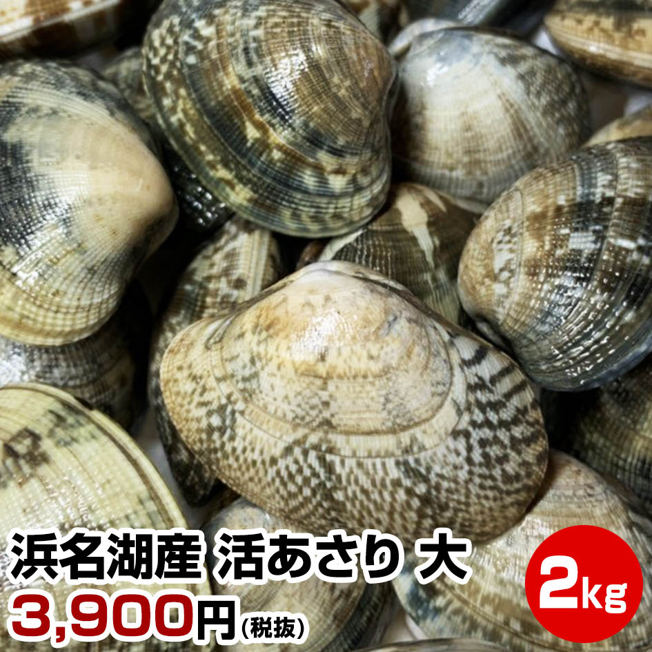 【母の日 父の日 お中元 誕生日プレゼント ギフト 御中元】鮮度抜群！★静岡県 浜名湖産 活あさり(大)2kg★アサリ 干物セット 干物 1位 50代 60代 70代 お試し 保存食 お買得 まとめ買い