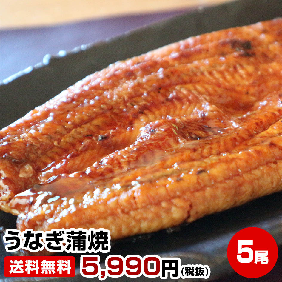 ≪母の日 父の日 ギフト バレンタインデー 初節句≫【2個(10尾)購入で1尾おまけ】ふんわり旨い!★うなぎ蒲焼5尾★鰻蒲焼き ウナギ蒲焼き 土用の丑の日 干物セット 干物 1位 50代 60代 70代 お試し 保存食 お買得 まとめ買い お取り寄せ お取り寄せグルメ