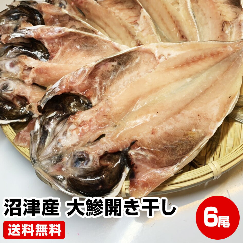 ≪母の日 父の日 ギフト バレンタインデー 初節句≫【2個で2尾 3個で5尾おまけ!】★駿河湾 沼津産 大鯵開き干し6尾★干物セット 送料無料 大きさ約25cm 干物 1位 50代 60代 70代 お試し 保存食 お買得 まとめ買い お取り寄せ お取り寄せグルメ
