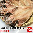 〈食品総合ランキング 1位 獲得〉≪風呂敷 対応可≫ 極旨！★駿河湾 沼津産 大鯵開き干し10尾★ 干物セット 送料無料 大きさ約25cm 干物 1位